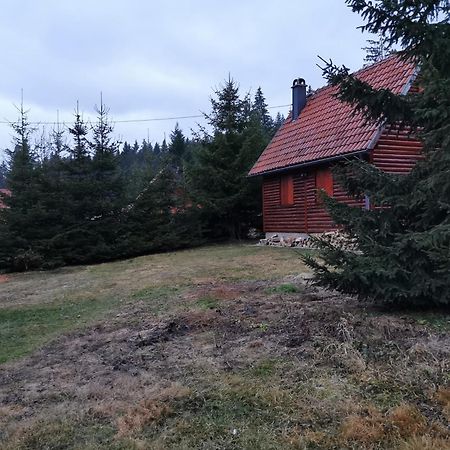 Vila Tijana ミトロバツ エクステリア 写真