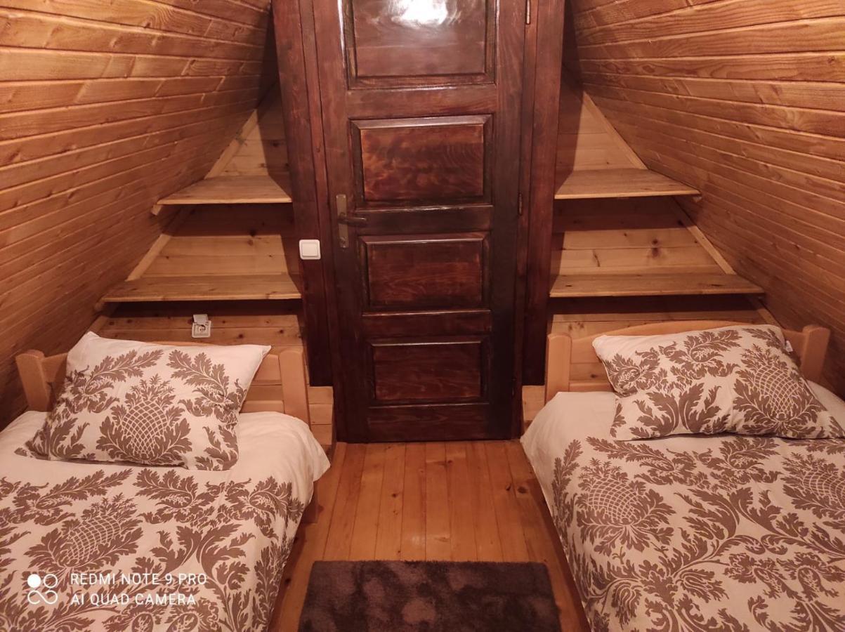 Vila Tijana ミトロバツ エクステリア 写真