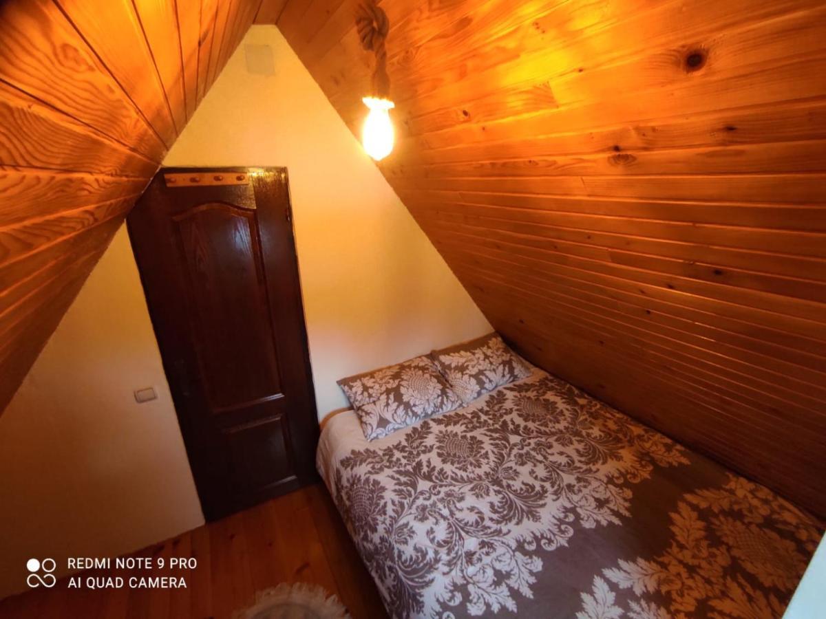 Vila Tijana ミトロバツ エクステリア 写真