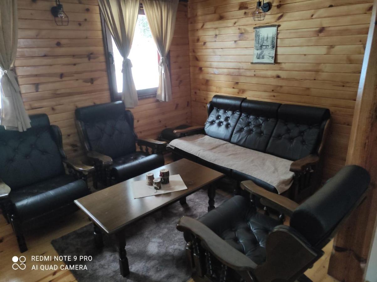Vila Tijana ミトロバツ エクステリア 写真